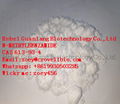 N-METHYLBENZAMIDE CAS 613-93-4 supplier to USA Mexico +19930503285 