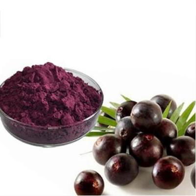 Supply Acai Berry Extract Powder 100% Water Soluble