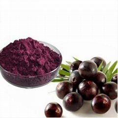 Supply Acai Berry Extract Powder 100% Water Soluble