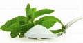 Zero Calorie Natural Stevioside Rebaudioside Plant Extract Stevia 1