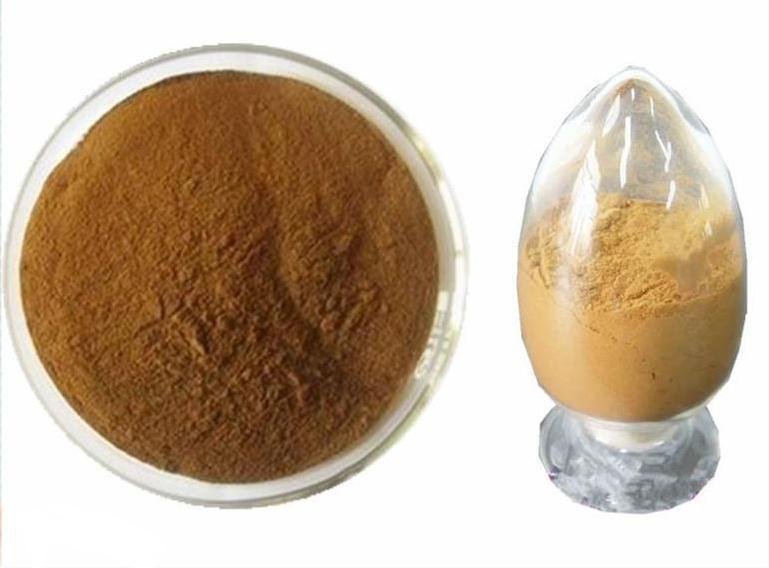 Anti Inflammatory Honeysuckle Flower Extract , 5% Chlorogenic Acid Lonicera Japo 2