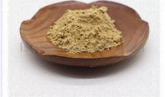 Angelica Root Extract