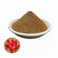 supply Hot sale Natural 1% 2% 3% Rhodiola rosea Extract Powder 2