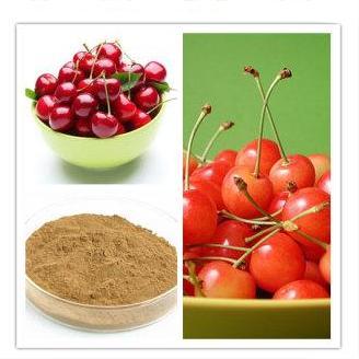 100% Natural Acerola Extract,17% -25%Vitamin C