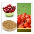 100% Natural Acerola Extract,17%