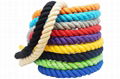 Colored Rope 1