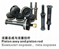 Piston Assy And Piston Rod 1