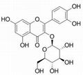 Isoquercitrin