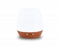 Mona-Portable  Wooden Base White Electric Ultrasonic Diffuser With Light