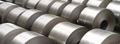 Stainless Steel Coil