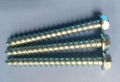 hex washer head self tapping screw 2