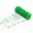 Climbing Plant Support Mesh 1