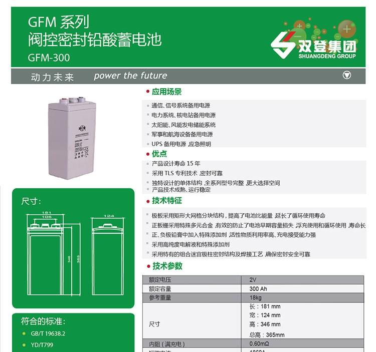 雙登蓄電池GFM-300批發現貨 4