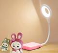 USB smart voice light led