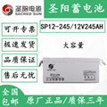 圣阳蓄电池sp12-24512v245ah上海总代理商现货 3
