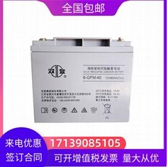 雙登免維護蓄電池6-GFM-4012v40ahUPSEPS機