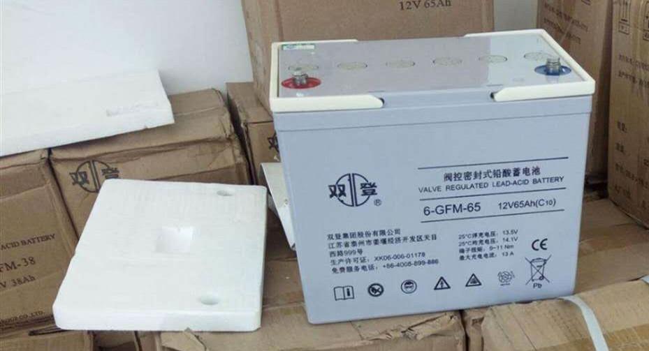 双登蓄电池6-GFM-65铅酸免维护蓄电池12V65AH备用电池 2