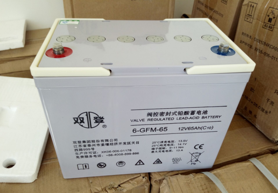 双登蓄电池6-GFM-65铅酸免维护蓄电池12V65AH备用电池 3