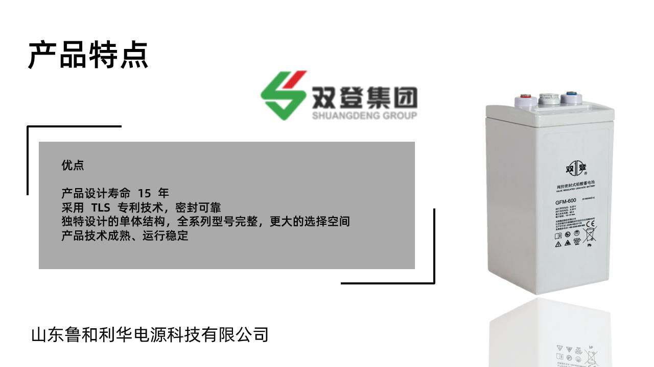 雙登GFM-600 2V600AH 鉛酸免維護蓄電池 持久續航 UPS不間斷電源 後備電源 3