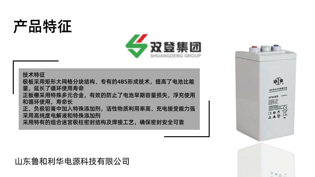 双登GFM-600 2V600AH 铅酸免维护蓄电池 持久续航 UPS不间断电源 后备电源 4