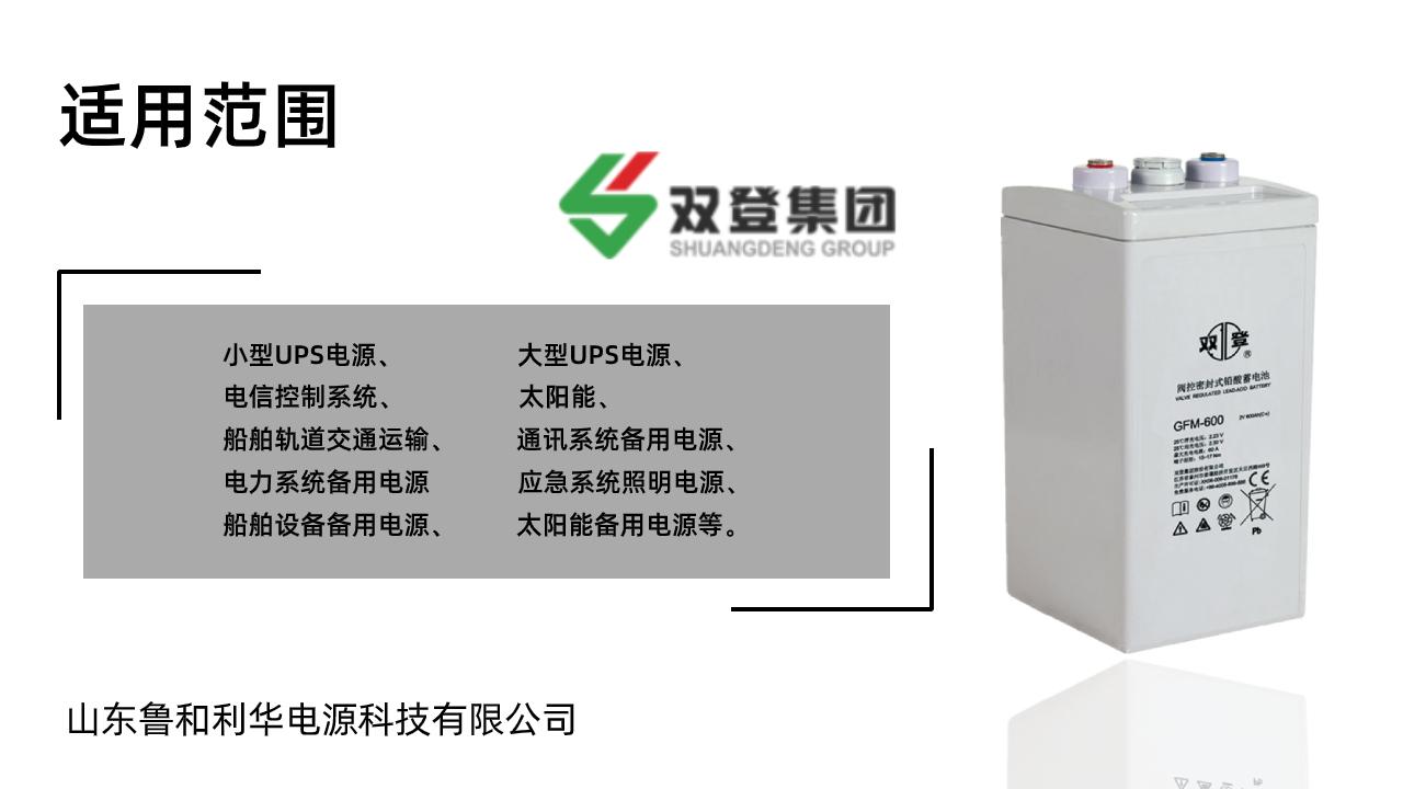 双登GFM-600 2V600AH 铅酸免维护蓄电池 持久续航 UPS不间断电源 后备电源 5