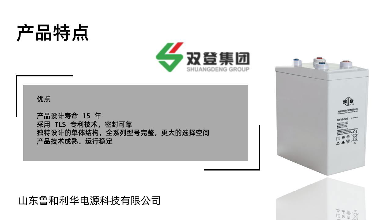 雙登GFM-800 2V800AH鉛酸免維護 閥控式蓄電池通訊系統電源 3