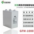 雙登GFM-1000 2V10