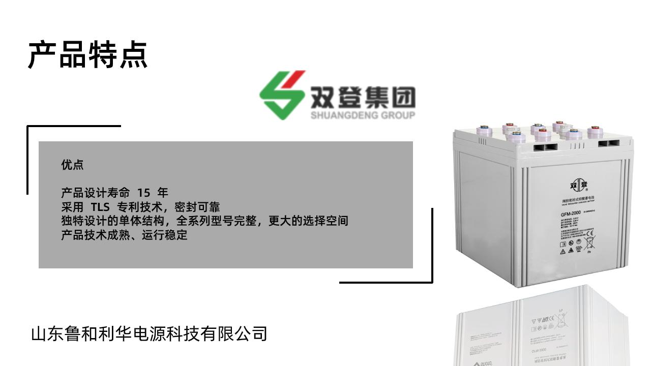 雙登GFM-2000 V2000AH 閥控密閉式蓄電池 免維護蓄電池 太陽能 4