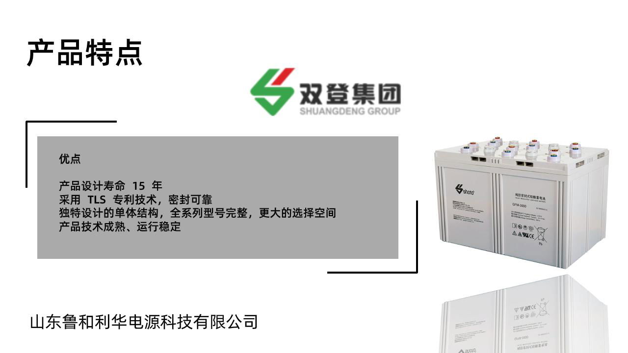 雙登GFM-3000 2V3000AH 鉛酸免維護蓄電池 UPS不間斷電源 通訊系統 3