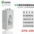 双登GFM-200 2V200AH 免维护铅酸蓄电池 持久续航 后备电源 1