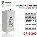 雙登GFM-200 2V200AH 免維護鉛酸蓄電池 持久續航 後備電源 1