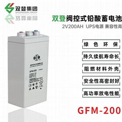 双登GFM-200 2V200AH 免维护铅酸蓄电池 持久续航 后备电源