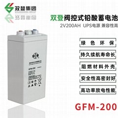 雙登GFM-200 2V200AH 免維護鉛酸蓄電池 持久續