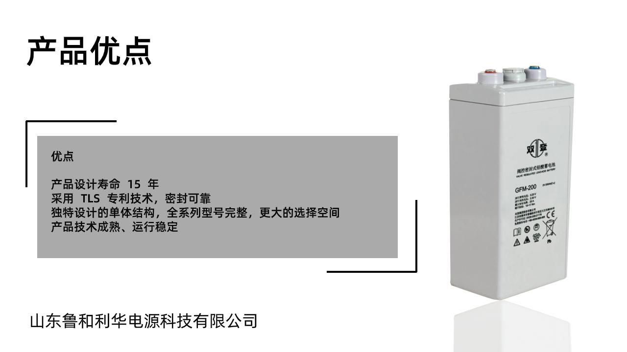 雙登GFM-200 2V200AH 免維護鉛酸蓄電池 持久續航 後備電源 3