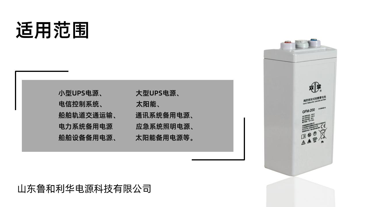 雙登GFM-200 2V200AH 免維護鉛酸蓄電池 持久續航 後備電源 5