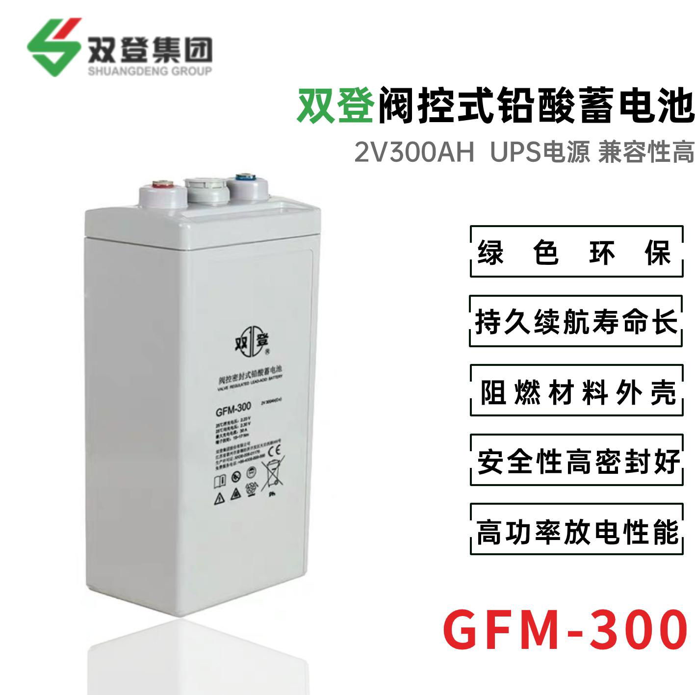 雙登GFM-300 2V200AH 鉛酸免維護蓄電池 通訊系統後備電源 