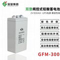 双登GFM-300 2V200AH 铅酸免维护蓄电池 通讯系统后备电源  1