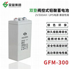 雙登GFM-300 2V200AH 鉛酸免維護蓄電池 通訊系統後備電源 