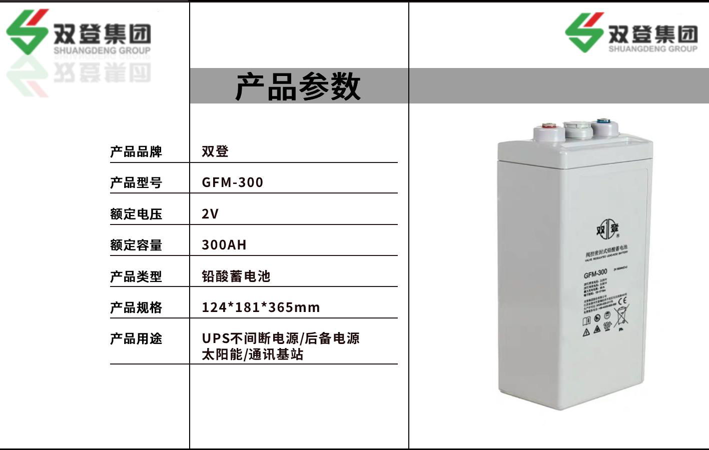 雙登GFM-300 2V200AH 鉛酸免維護蓄電池 通訊系統後備電源  2