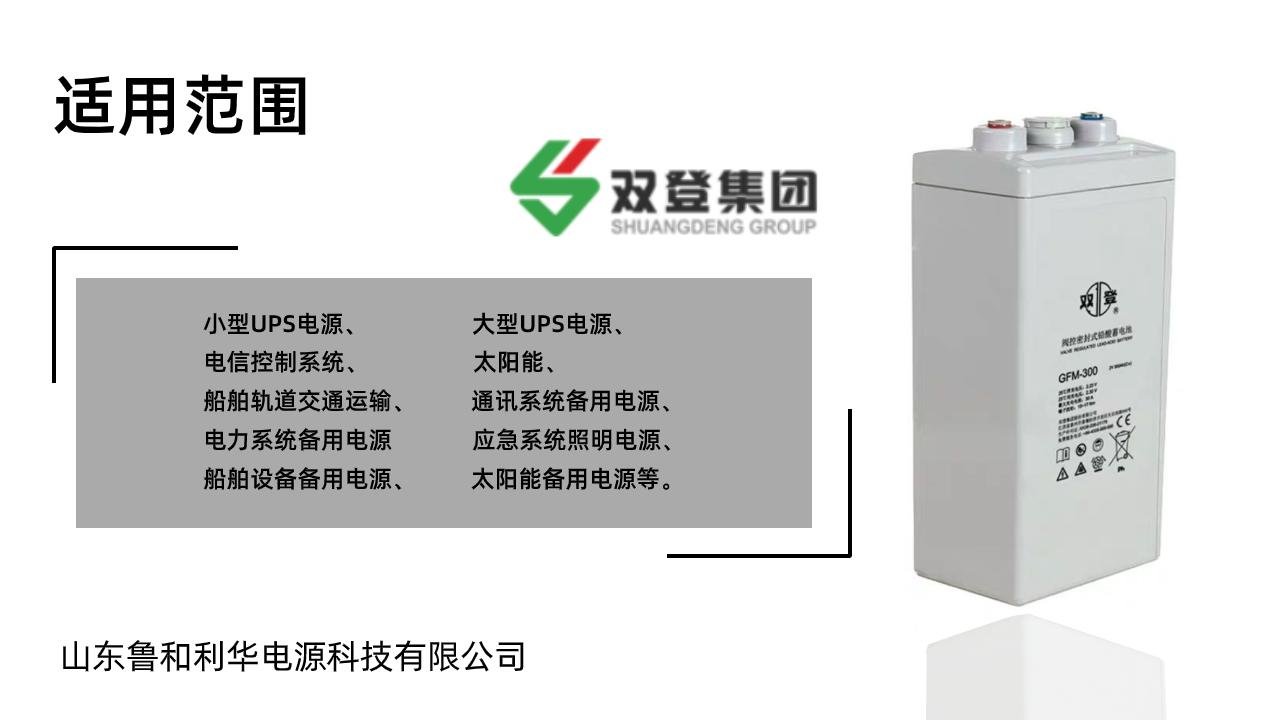 雙登GFM-300 2V200AH 鉛酸免維護蓄電池 通訊系統後備電源  3