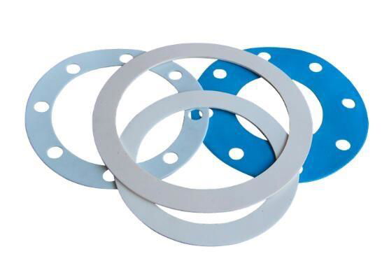 Pure PTFE gasket 4