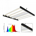 LED grow lights supplier