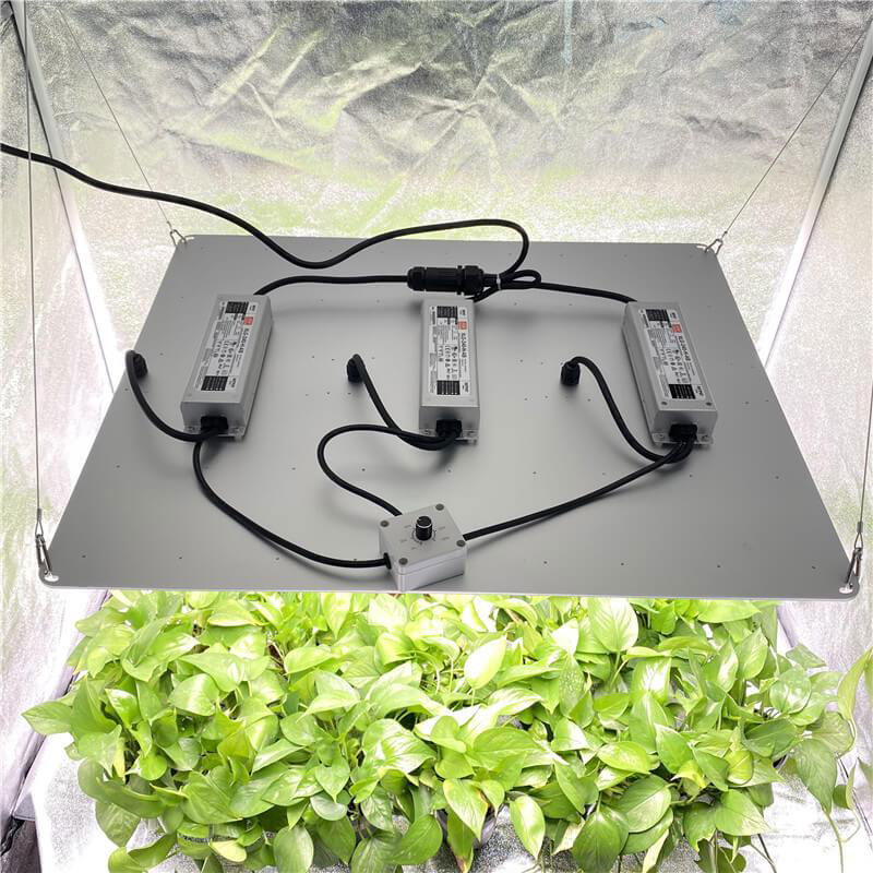 High efficacy LED Grow Light Board     quantum boards for sale  2