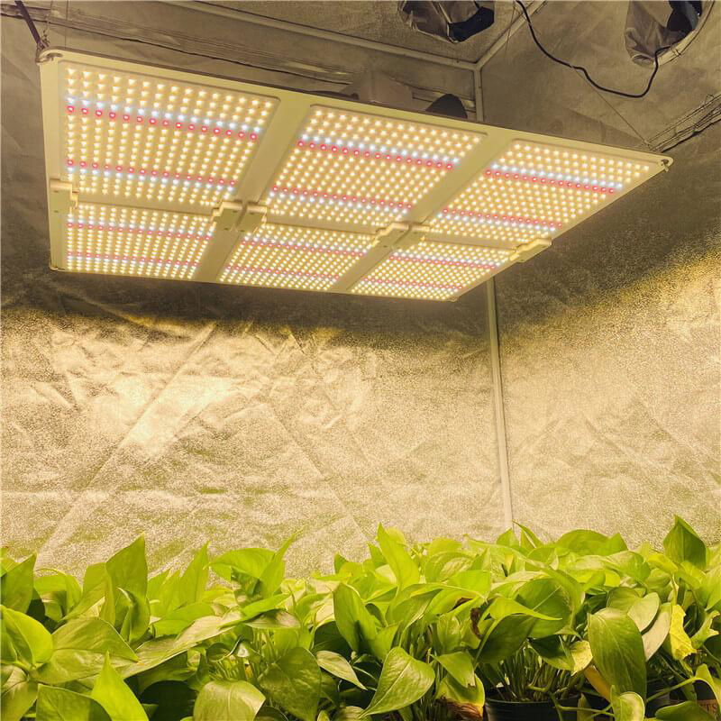 High efficacy LED Grow Light Board     quantum boards for sale  3