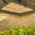 Waterproof LED Grow Light for Indoor Plant  vertical farming led lighting  