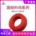 國標銅芯RVB 監控電源線紅黑