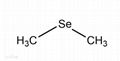 99% 二甲基二硒醚