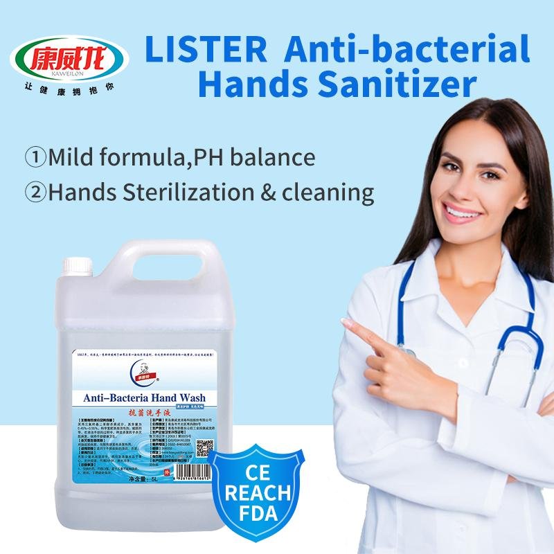 Antibacterial Hands Sanitizer  Hand Wash 4