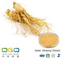 Asian Ginseng Extract