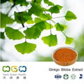 Ginkgo Biloba Extract 1